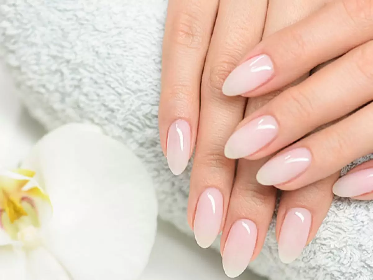 Mevlana Protez Tırnak